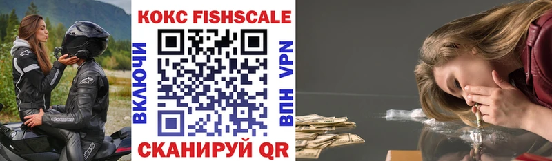 Кокаин FishScale  купить закладку  Чебаркуль 