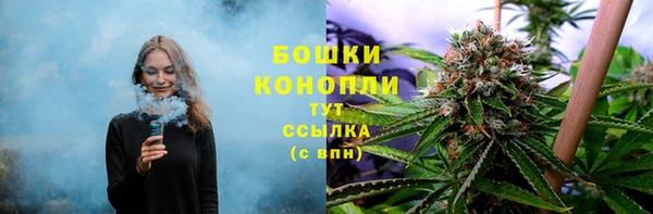 ГАЛЛЮЦИНОГЕННЫЕ ГРИБЫ Алексин