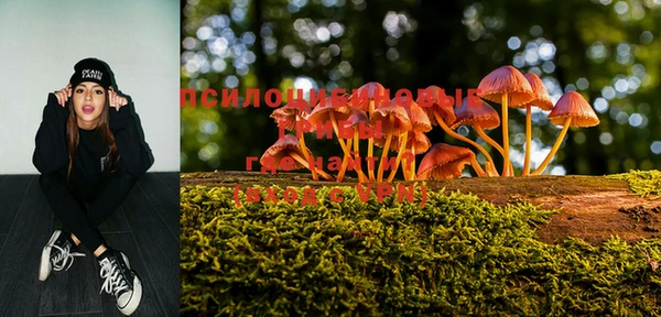 трава Алзамай