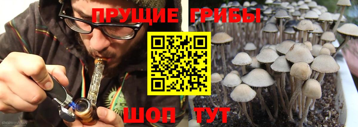 Галлюциногенные грибы GOLDEN TEACHER  где найти   Чебаркуль  Вход с VPN 