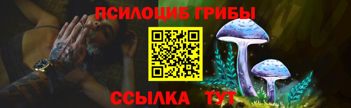 Галлюциногенные грибы Psilocybine cubensis Чебаркуль